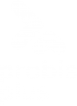 logo-probis-plus-white